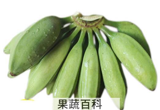 牛角蕉和芭蕉的区别 牛角蕉的功效