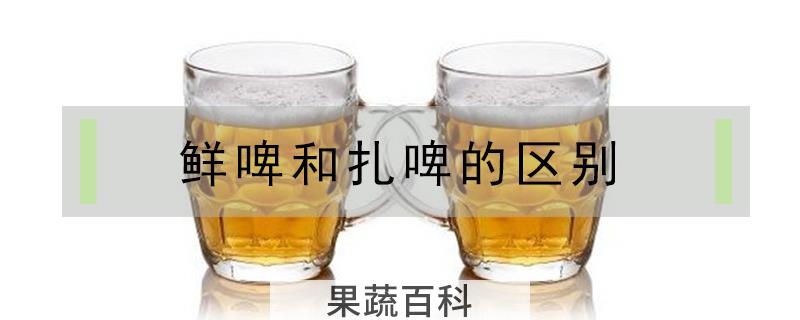 鲜啤和扎啤的区别