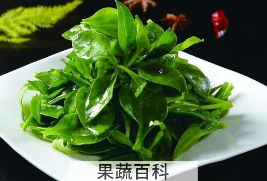 田七菜怎么吃 田七菜的正确吃法