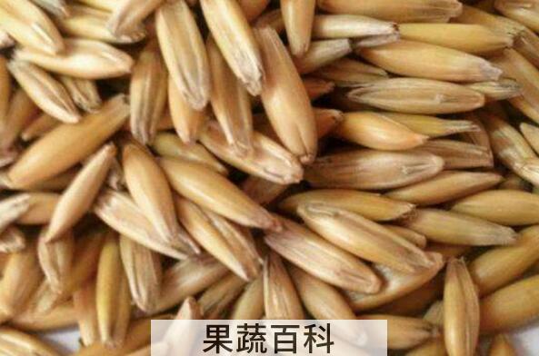 皮燕麦的功效与作用