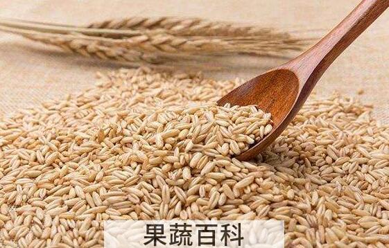 皮燕麦的功效与作用