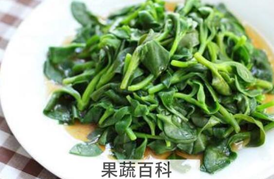 三七菜和田七菜的区别 吃三七菜的好处