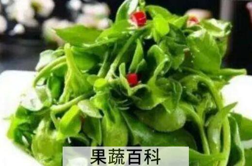 三七菜和田七菜的区别 吃三七菜的好处