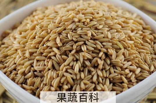 皮燕麦怎么吃 皮燕麦的食用方法