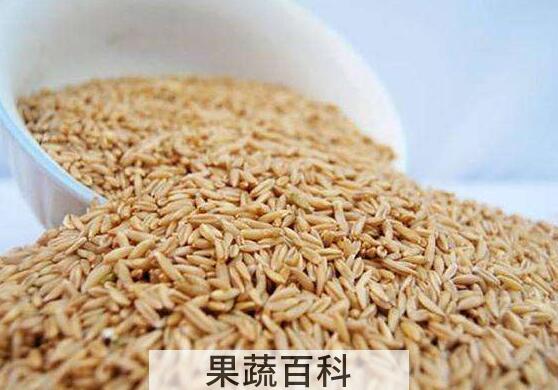 皮燕麦怎么吃 皮燕麦的食用方法