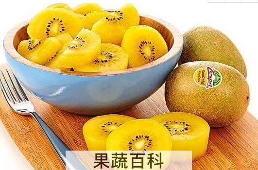 奇异果金果的功效与作用