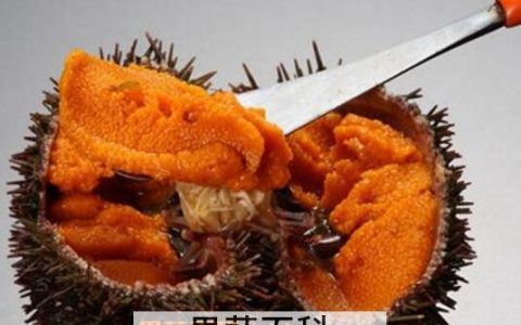 海胆吃多了会怎样 海胆什么人不能吃