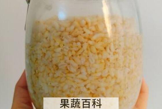 糙米酒糟有什么功效