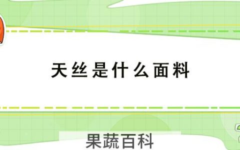 天丝是什么面料