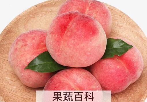 桃子有什么好处和坏处