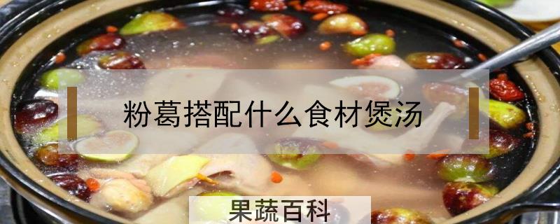 粉葛搭配什么食材煲汤