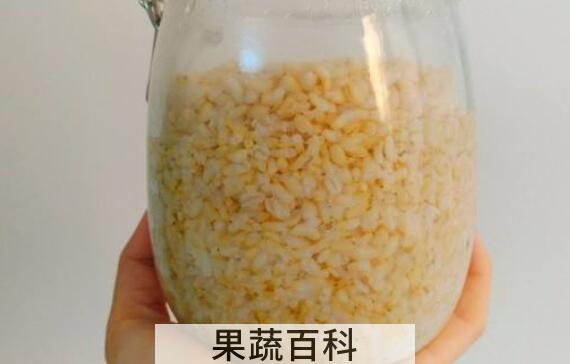 糙米酒怎么吃 糙米酒的食用方法