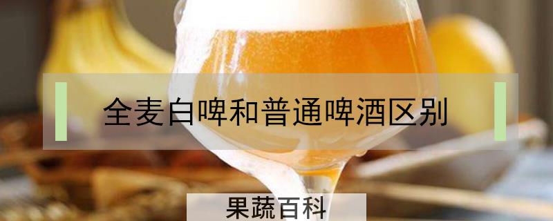 全麦白啤和普通啤酒区别