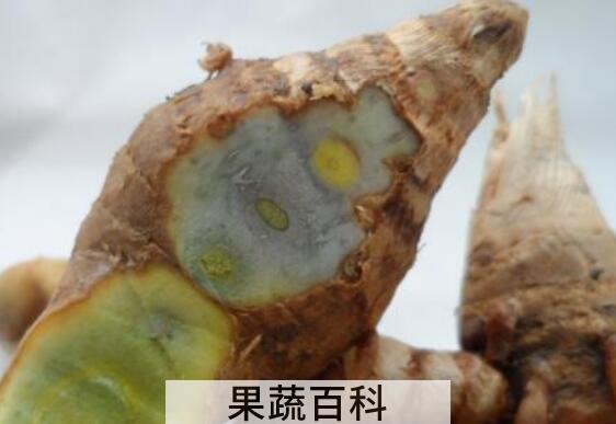 绿姜的功效与作用