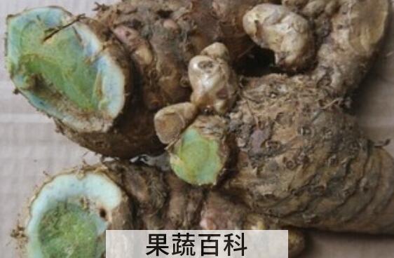 绿姜的功效与作用