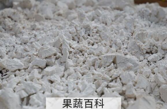 菱角粉的功效与作用 菱角粉的禁忌