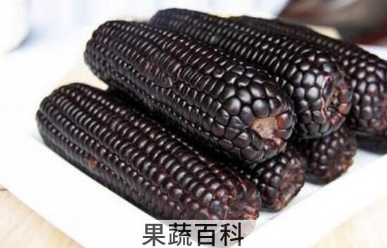 黑糯玉米的功效与作用