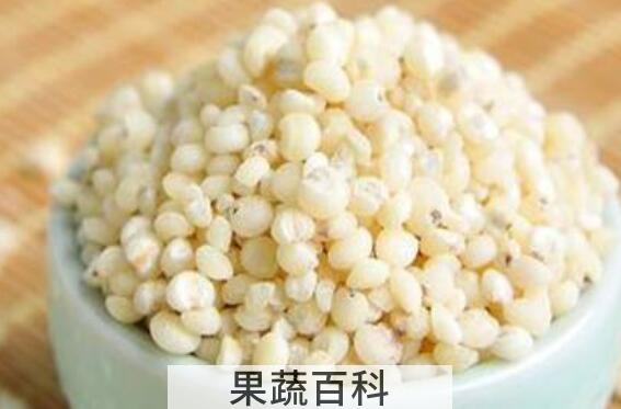 糯高粱米的功效与作用