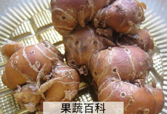 沙姜对身体健康有害吗 沙姜有什么不好