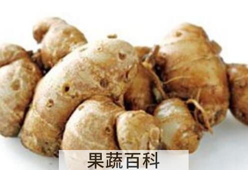 沙姜对身体健康有害吗 沙姜有什么不好