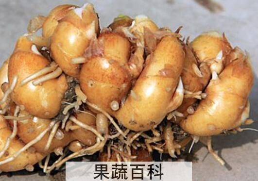 男怕沙姜女怕麝香什么意思