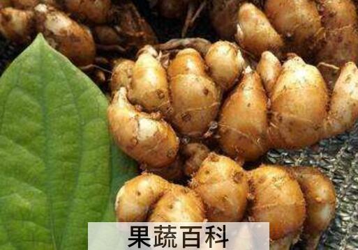 男怕沙姜女怕麝香什么意思