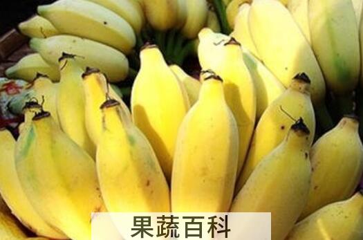 皇帝香蕉的功效与作用
