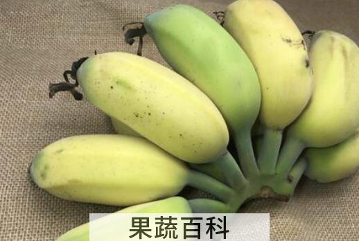 皇帝香蕉的功效与作用