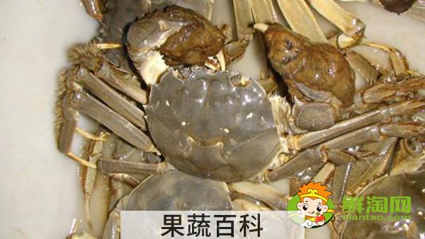 武汉梁子湖大闸蟹什么时候上市，阳澄湖大闸蟹和梁子湖大闸蟹有什么区别