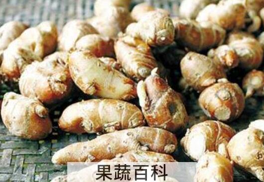 沙姜怎么清洗 沙姜如何保存才能放得久