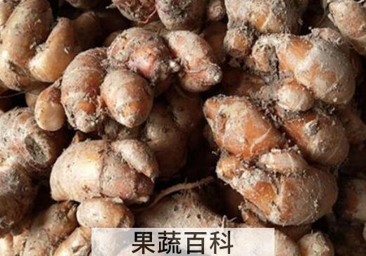 沙姜和生姜的区别
