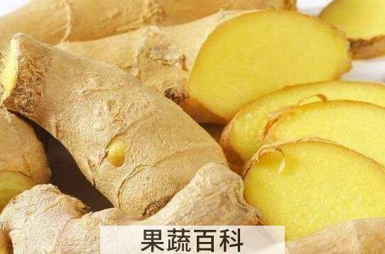 沙姜和生姜的区别