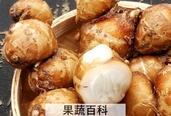 沙姜能生吃吗 沙姜如何食用