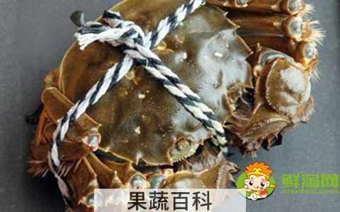 梁子湖大闸蟹怎么样，梁子湖大闸蟹养殖基地