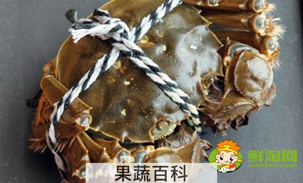 梁子湖大闸蟹怎么样，梁子湖大闸蟹养殖基地
