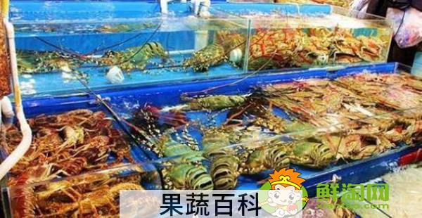 阳澄湖大闸蟹批发市场地址，阳澄湖大闸蟹批发哪个市场便宜