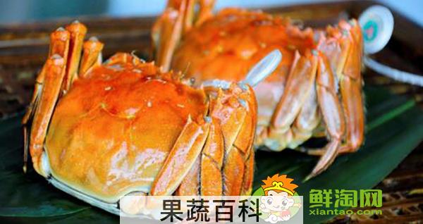 阳澄湖大闸蟹批发市场地址，阳澄湖大闸蟹批发哪个市场便宜