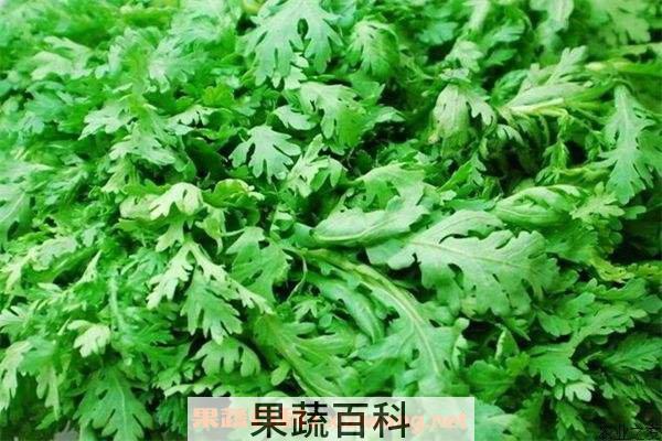 茼蒿