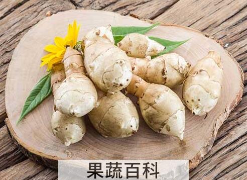 地姜的功效与作用