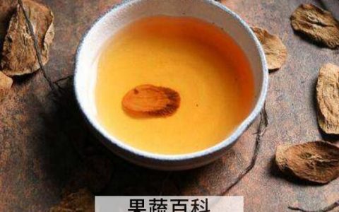牛蒡茶怎么喝减肥最快 牛蒡茶的功效