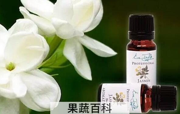 茉莉精油如何提取 茉莉精油的功效
