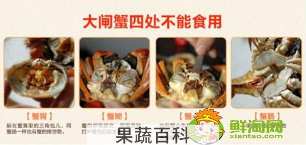 螃蟹吃什么部位，新手怎么吃螃蟹图解