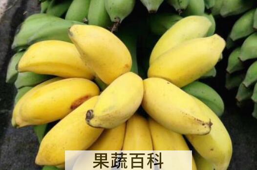 鸡蕉和小米蕉的区别 鸡蕉怎么吃