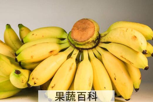 鸡蕉和小米蕉的区别 鸡蕉怎么吃