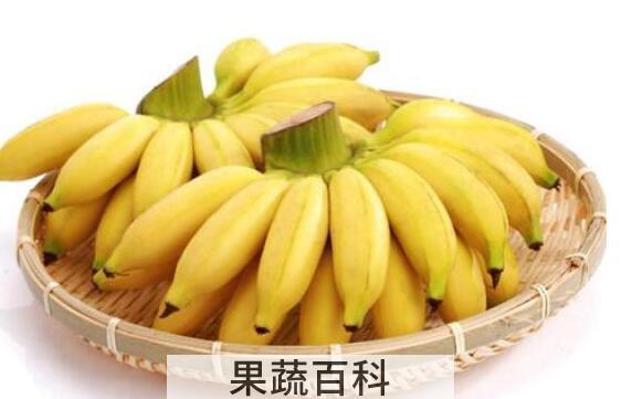  山蕉是什么 山蕉的功效与作用