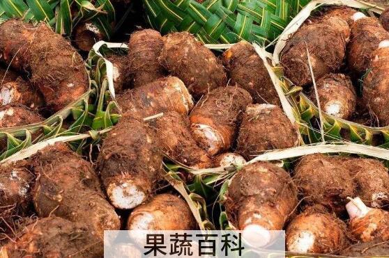 山芋头的功效与作用
