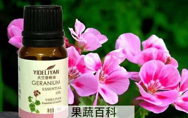 如何使用天竺葵精油 天竺葵精油使用方法