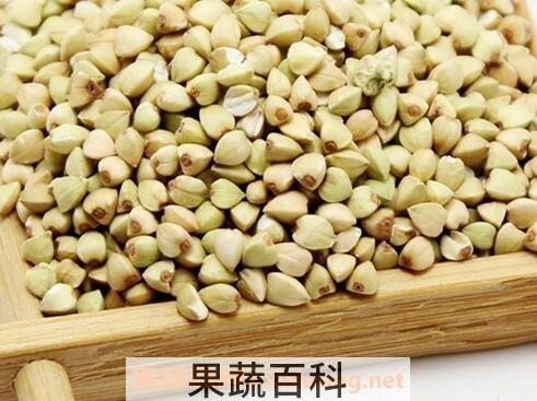 甜荞麦的副作用和使用禁忌
