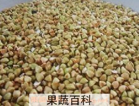 甜荞麦的副作用和使用禁忌