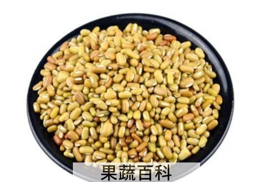 巴山豆的功效和作用 巴山豆的药用价值